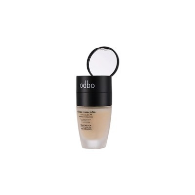 30ml Botol Alas Bedak Kaca Botol Kosmetik Makeup Dengan Pompa Perak Dan Penutup